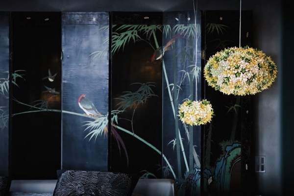 No hay imagen establecida 